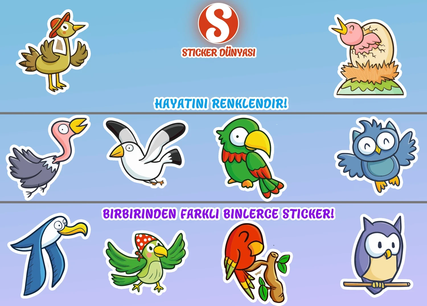 Sevimli Kuşlar Temalı Sticker Koleksiyonu (Kuşlar2) görsel 4